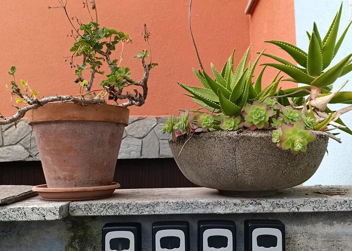 Appartamento Altea - Di Nuovo Accogliente Mini Vicino E Giardino Dervio