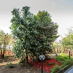 アパート Altea - Di Nuovo Accogliente Mini Vicino E Giardino デルヴィオ