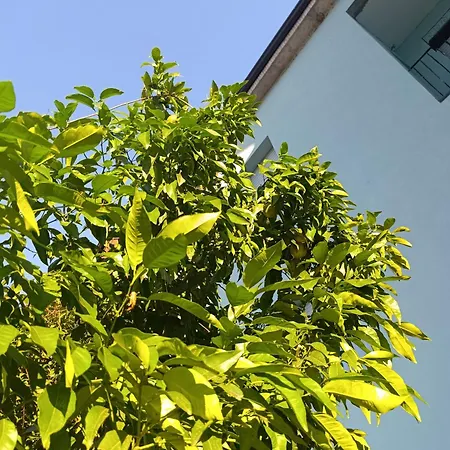 Appartement Altea - Di Nuovo Accogliente Mini Vicino E Giardino *