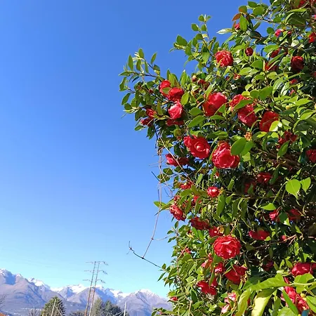 Apartman Altea - Di Nuovo Accogliente Mini Vicino E Giardino Dervio