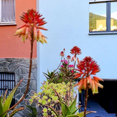 Altea - Di Nuovo Accogliente Mini Vicino E Giardino Dervio