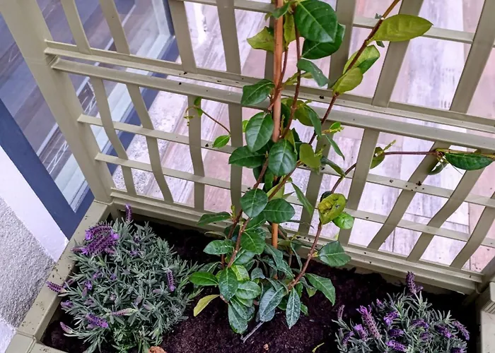 Apartman Altea - Di Nuovo Accogliente Mini Vicino E Giardino